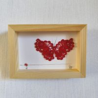 Cadre entomologique papillon rouge